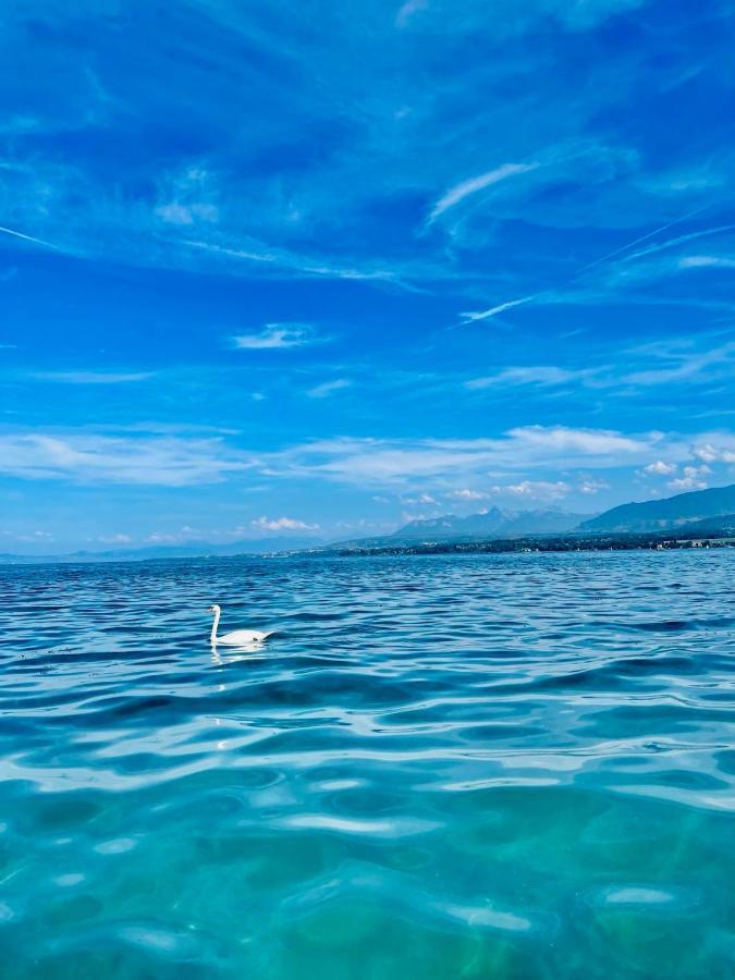 Appartement Le Leman Excénevex Exteriér fotografie